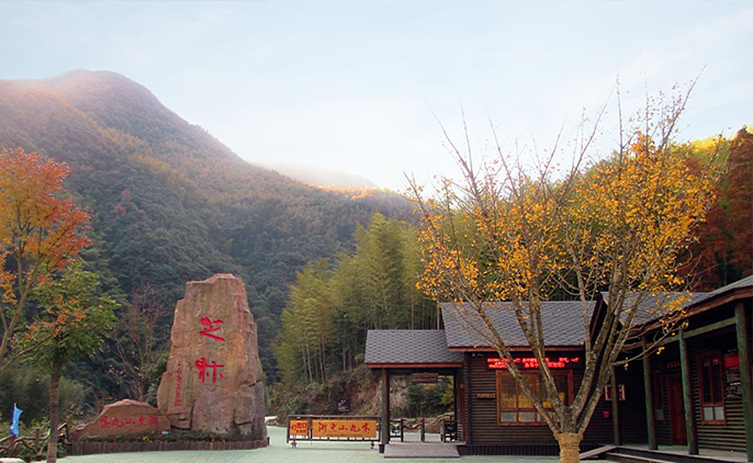 fiance foundation model